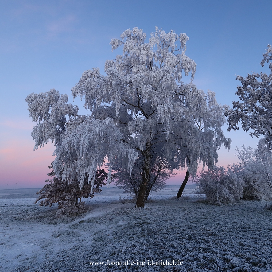 Wintertraum