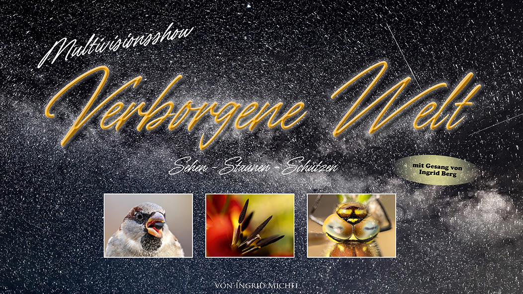 Multivisionsshow Verborgene Welt