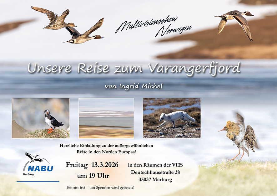 Multivisionsshow Norwegen in Marburg