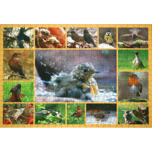 Bunte Vogelwelt (Puzzle mit 500 Teilen)