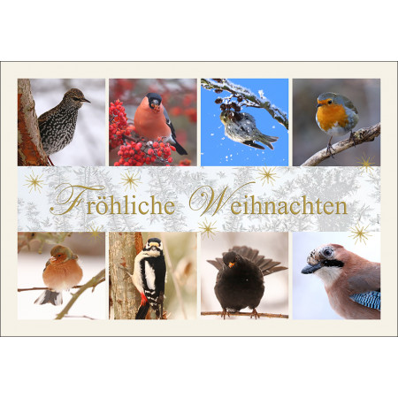 Weihnachtskarte: Vögel im Winter